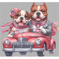 Valentine's Day-QRJ  4033